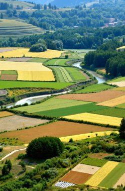 Güzel yaz manzarası kırsal