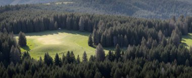 Dağlardaki yeşil orman