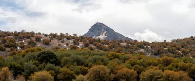 Dağlardaki vadinin güzel manzarası