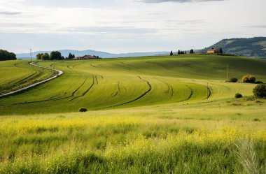 Doğanın güzel manzarası