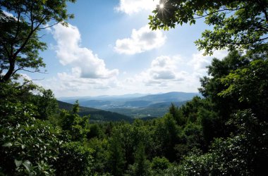 Güzel bir manzara Ağacı ve mavi gökyüzü