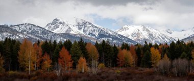autumn landscape with snow - capped mountains