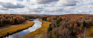 Renkli ağaçlar ve yapraklarla dolu güzel sonbahar manzarası
