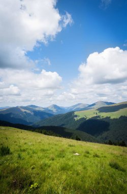 green meadow and mountains with blue sky. beautiful landscape in summer.