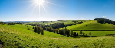 Ukraynalı Karpatların yaz manzarası