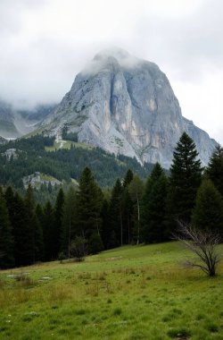 Dağlı ve ormanlı dağ manzarası