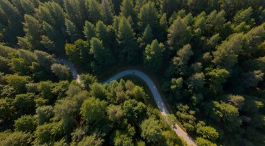 a aerial shot of a road in a forest