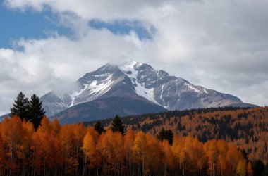 mountain peaks in the autumn forest