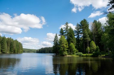 beautiful summer landscape with lake and forest. russia