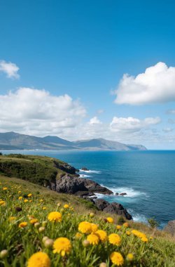 Bir dağı ve küçük bir adası olan güzel bir manzara.