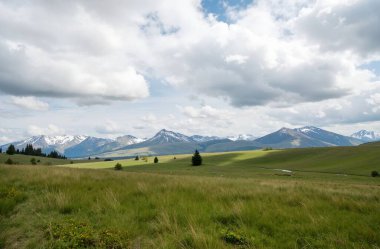Yeşil çimenli güzel dağ manzarası