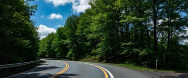 road through the green forest. travel and adventure concept