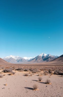 Mavi gökyüzü olan çöl manzarası
