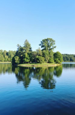 Ormandaki gölün güzel manzarası