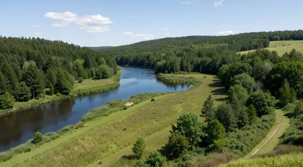 Ormanın güzel manzarası