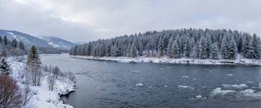 Karla kaplı ağaçlarla kaplı kış manzarası