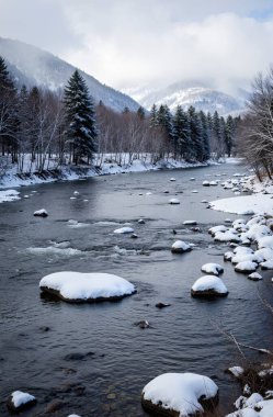 Nehir ve karlı güzel bir manzara.