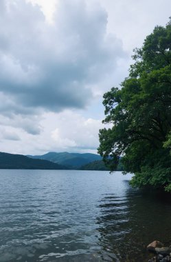 beautiful lake with green trees in the background