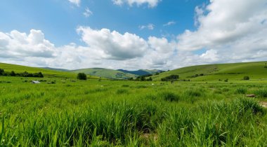 Yeşil çimenlerle ve bulutlu gökyüzüyle güzel bir manzara.