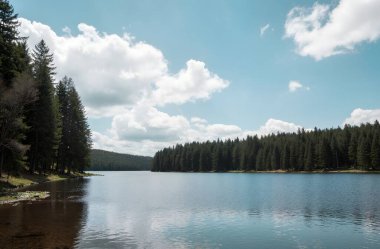 Bulutlu bir gökyüzünün altında yeşilliklerle çevrili güzel bir göl görüntüsü.