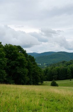 Czech Cumhuriyeti 'nin güzel doğası