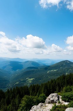 Ağacı ve dağı olan güzel bir manzara.
