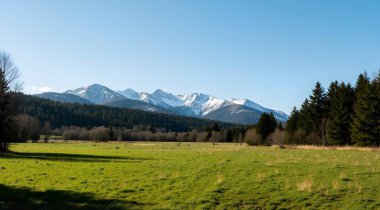 Arkasında bir dağ olan güzel bir manzara.