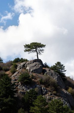 Dağların güzel manzarası