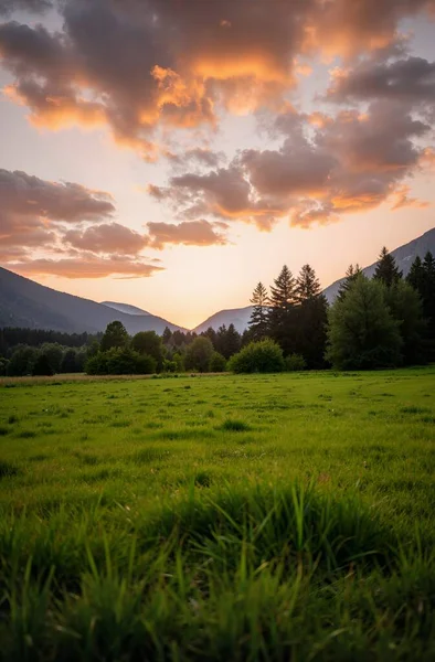 Arkasında bir dağ olan güzel bir manzara.