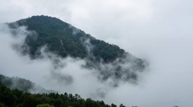 Dağların güzel manzarası