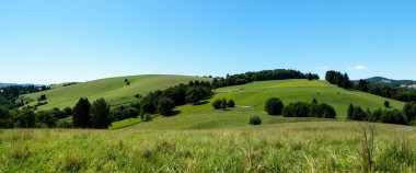 yeşil tarla ve mavi gökyüzü