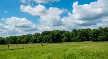 Yeşil tarlası ve mavi gökyüzü olan güzel bir manzara.