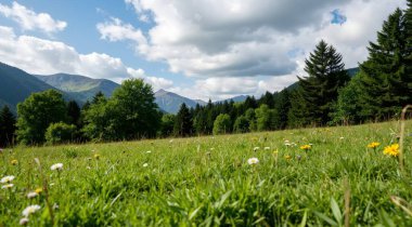 Doğanın güzel manzarası