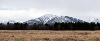 mountain landscape. snow - covered mountains in the forest.