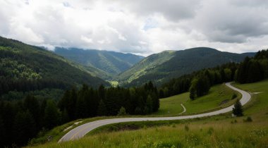 a beautiful shot of a road through a forest in the mountains