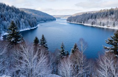 winter lake with frozen trees and mountains