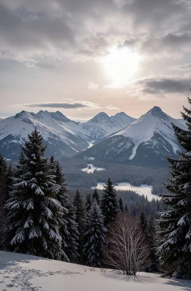 Karla kaplı ağaçlarla kaplı güzel kış manzarası