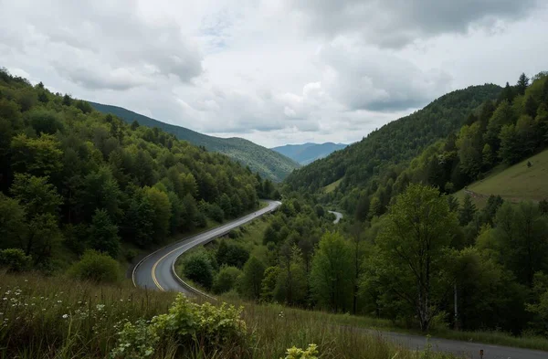 mountain road with trees in the forest