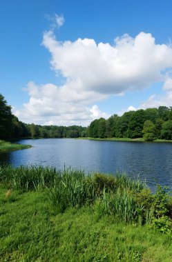 Güzel göl manzarası