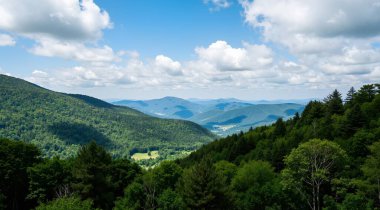 beautiful view on mountain forest and hills