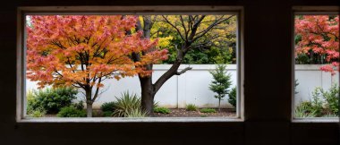 Bahçede sonbahar yaprakları