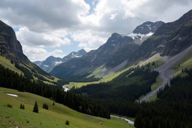 the beautiful view of the mountain landscape in the summer
