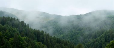 Dağların güzel manzarası
