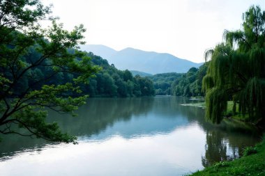 Göl ve ağaçlarla dolu güzel bir manzara