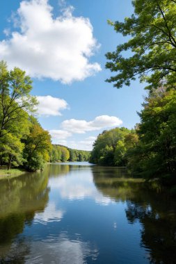 Göl ve ağaçlarla dolu güzel bir manzara