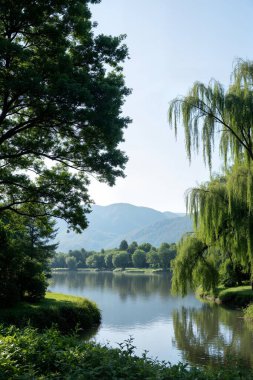 Nehir ve ağaçlarla dolu güzel bir manzara