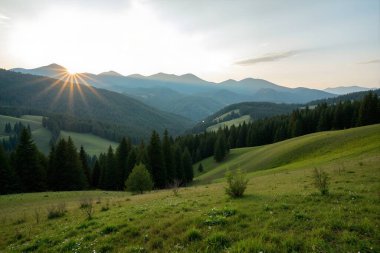 mountain meadow in evening sun rays
