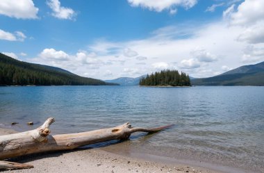 a vertical shot of a beautiful lake with a wooden stick in the background