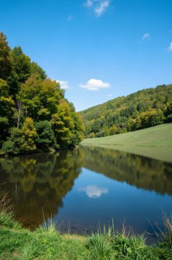 Ormandaki gölün güzel manzarası