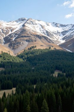beautiful landscape in mountains and snow